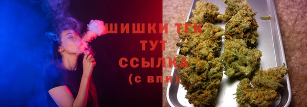 дживик Касимов