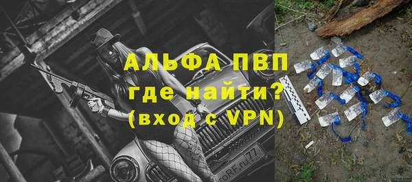 стафф Карпинск