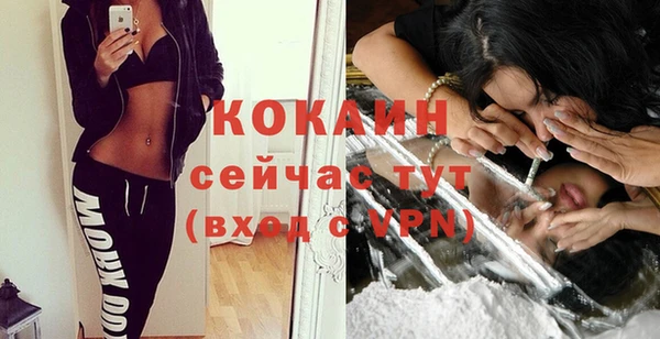 дживик Касимов