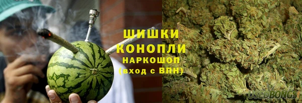 дживик Касимов