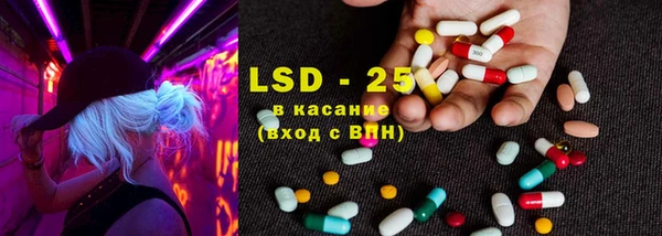 дживик Касимов