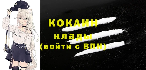стафф Карпинск