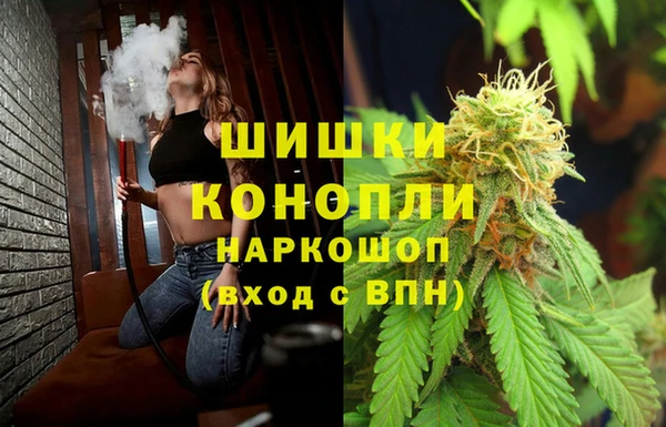 стафф Карпинск