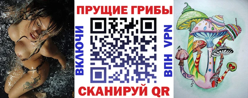 Галлюциногенные грибы Psilocybine cubensis  Купить  Духовщина 